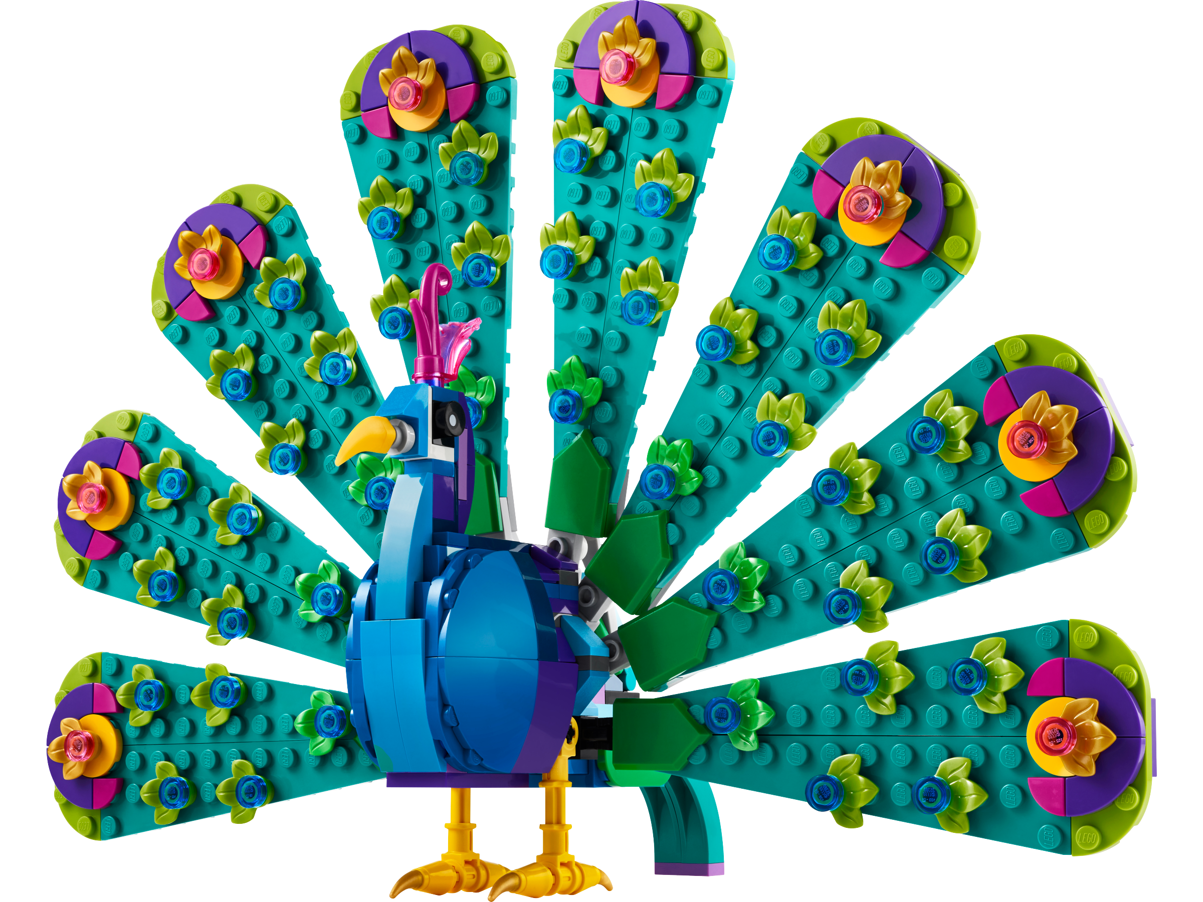 Exotischer Pfau 31157