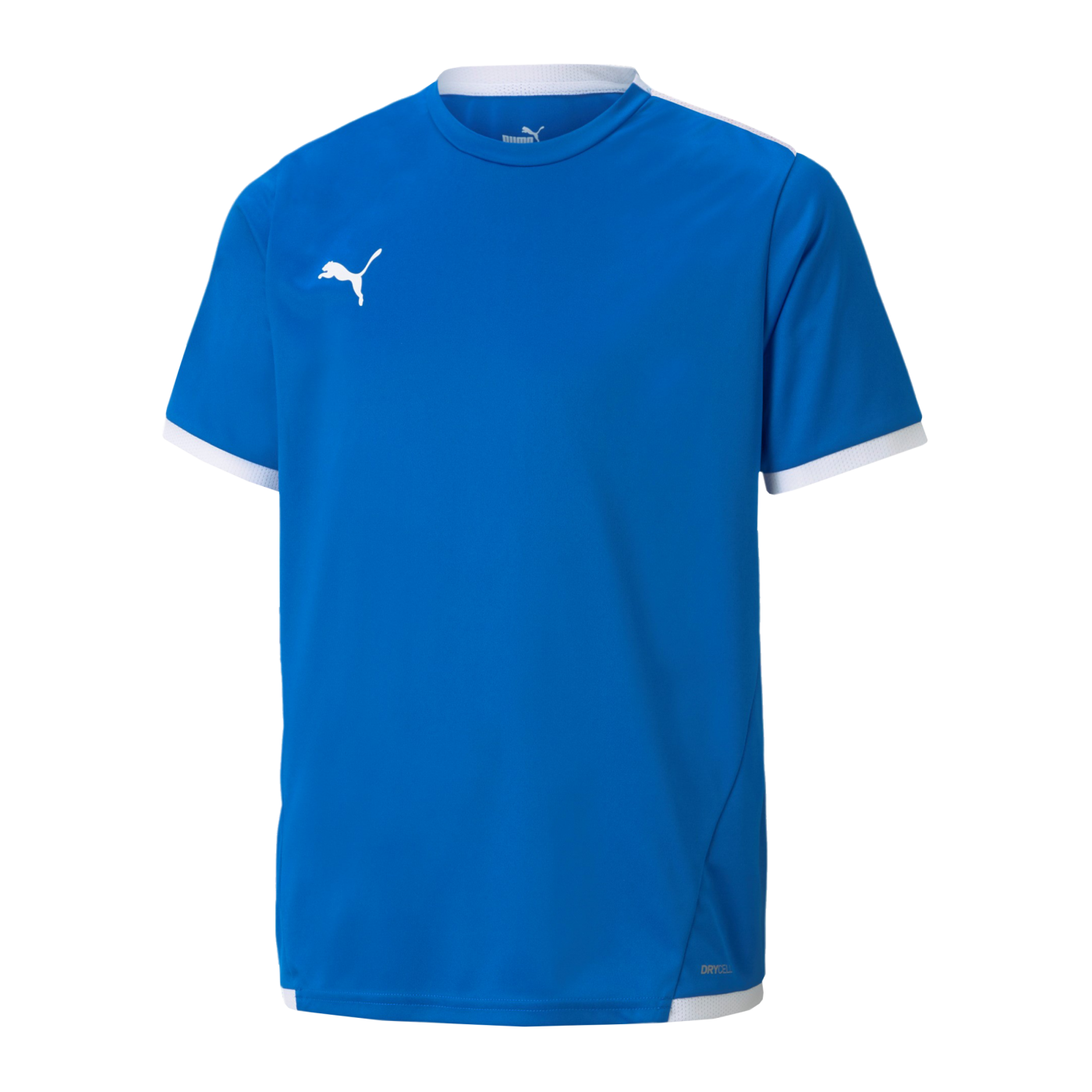 PUMA teamLIGA Trikot Kids Blau F02