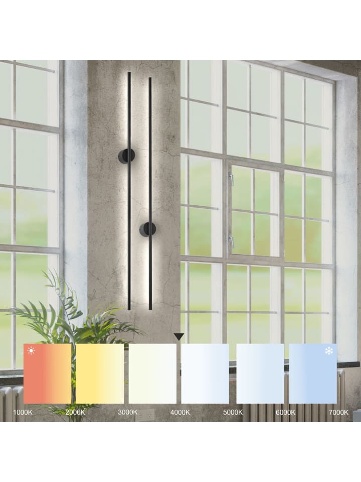 Licht-Erlebnisse Wandlampe EEK E in Schwarz günstig kaufen onesize