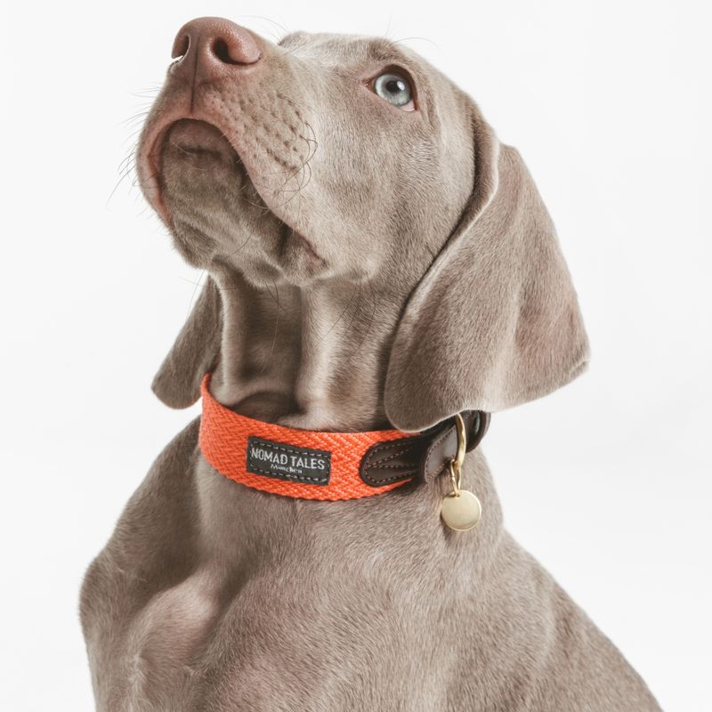 Nomad Tales Bloom Halsband, coral zu TOP-Preisen