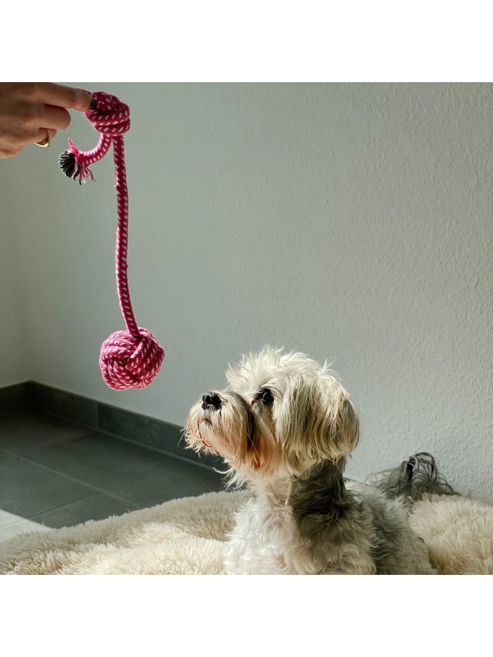 Intirilife 10er Set Hundespielzeug Kauspielzeug in Bunt günstig kaufen onesize