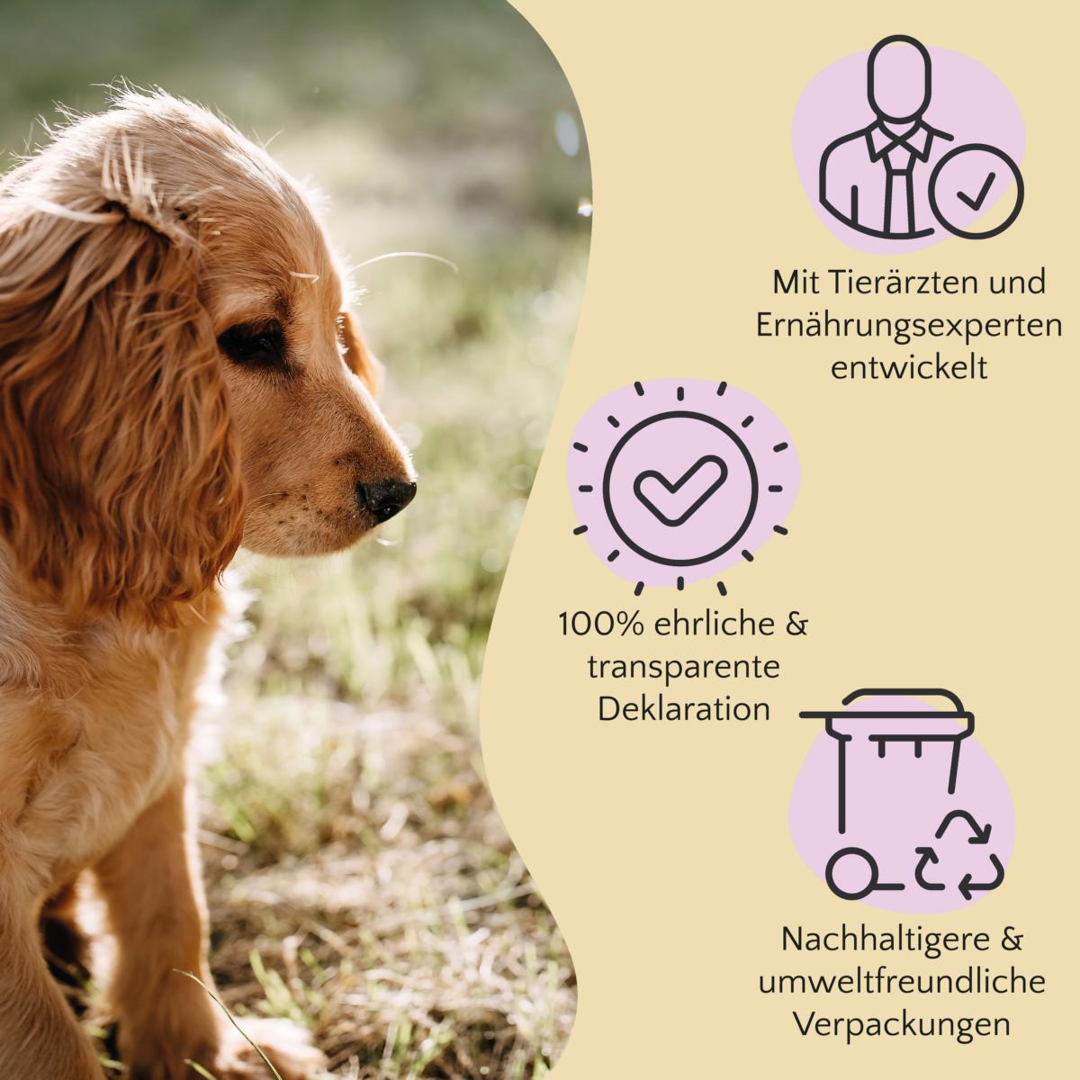 FAVLY Petfood Snacks FAVLY Petfood Kaninchenohren mit Fell 720 g