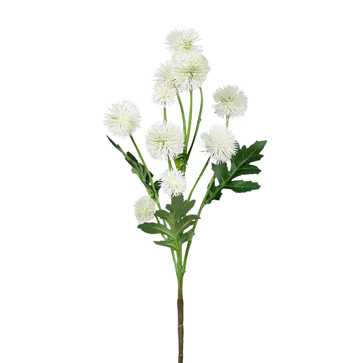 DPIKugeldistel 60cm