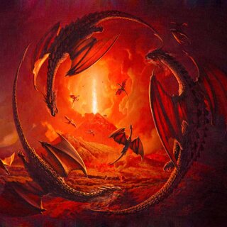 Würfelschale Dragons