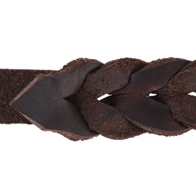 Heim Doppelleine aus Leder mit eingeflochtenem Karabiner