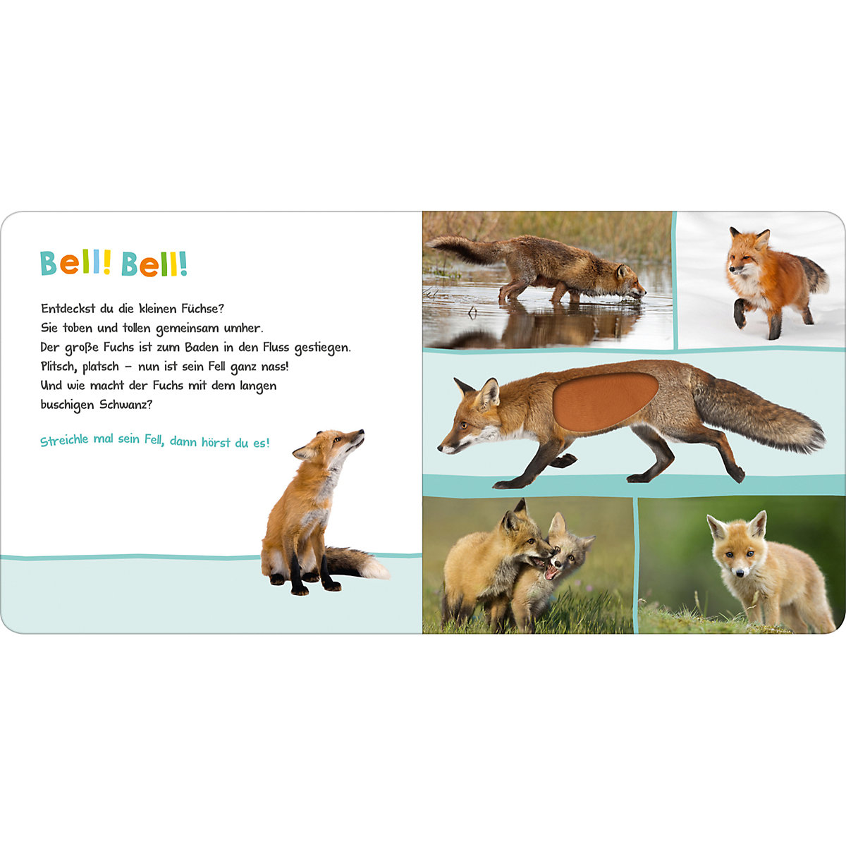 Hör mal rein, wer kann das sein Waldtiere, Soundbuch mit Tiergeräuschen