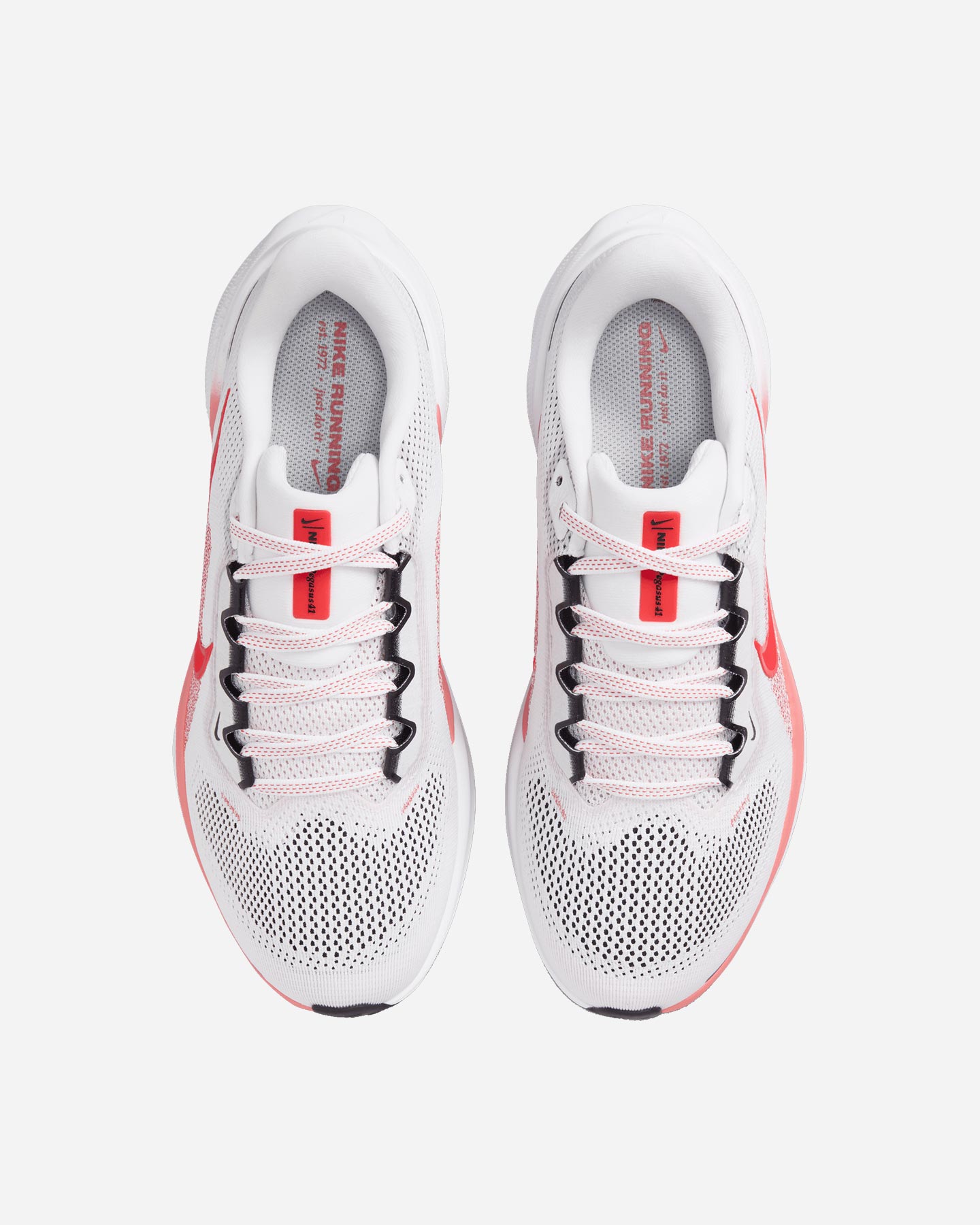 Scarpe Running Nike Pegasus 41 W FD2723-109