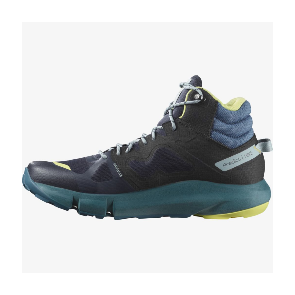 Salomon Predict Hike Mid GTX L47154500 / bunt