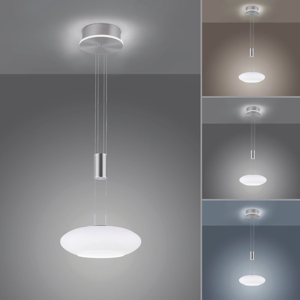 Paul Neuhaus Smarte LED-Leuchte LED Pendellampe Q ETIENNE Smart Home, Smart Home, CCT-Farbtemperaturregelung, RGB-Farbwechsel, Dimmfunktion, Memoryfunktion, mit Leuchtmittel, dimmbar Fernbedienung höhenverstellbar CCT Pendel