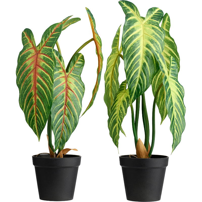 Home Xanthosoma plante 50 cm kunstig
