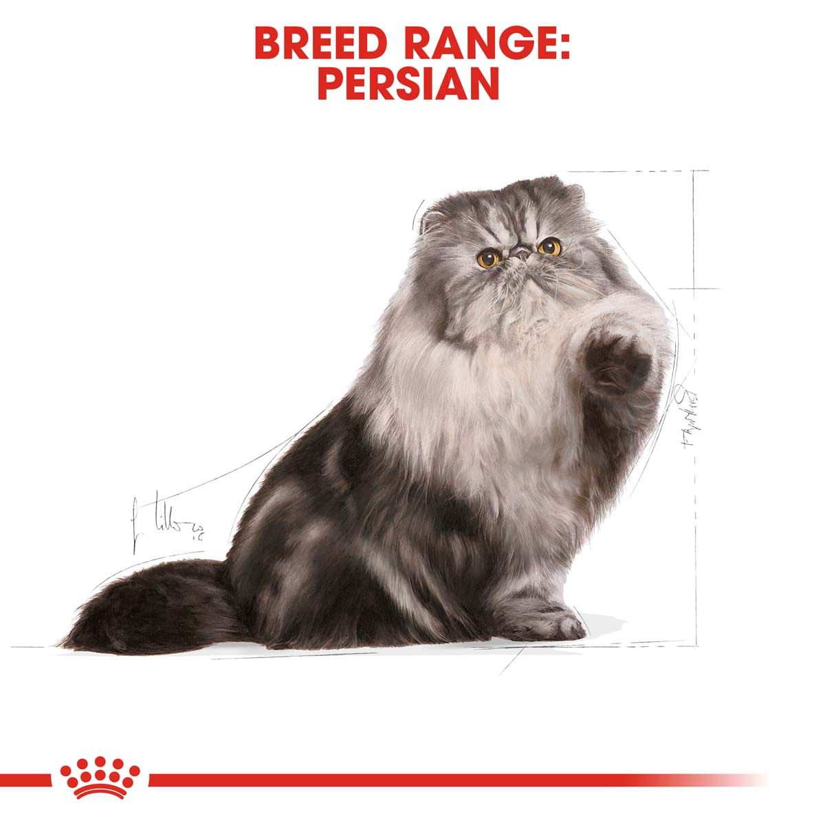 ROYAL CANIN Persian Adult Trockenfutter für Perser-Katzen
