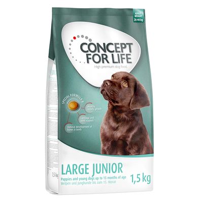 Concept for Life Large Junior