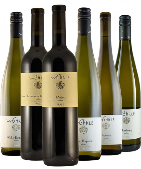 Wöhrle Kennenlern-Paket - Weingut Wöhrle