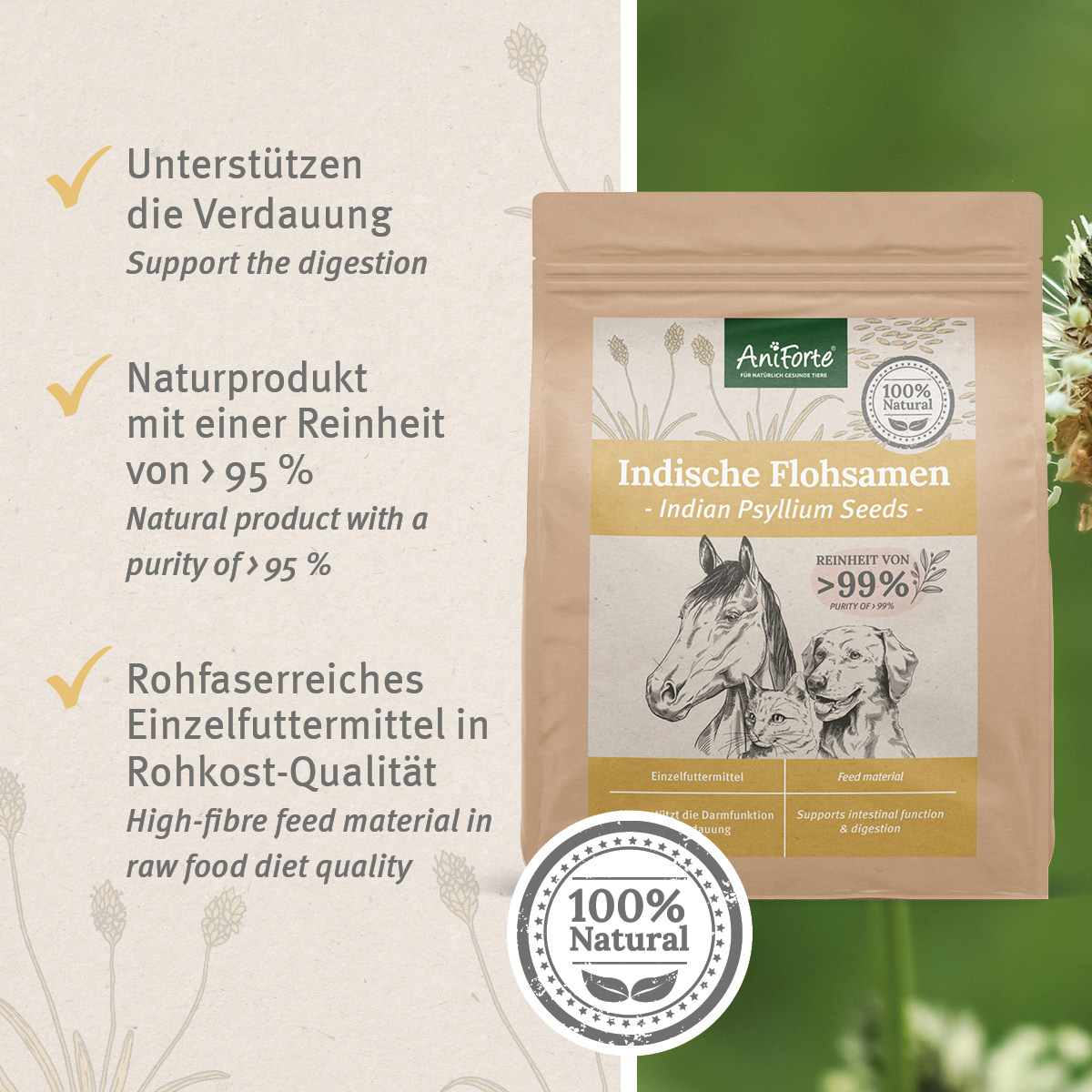 Aniforte Ergänzungsfutter & Aufzucht Aniforte Indische Flohsamen 1kg
