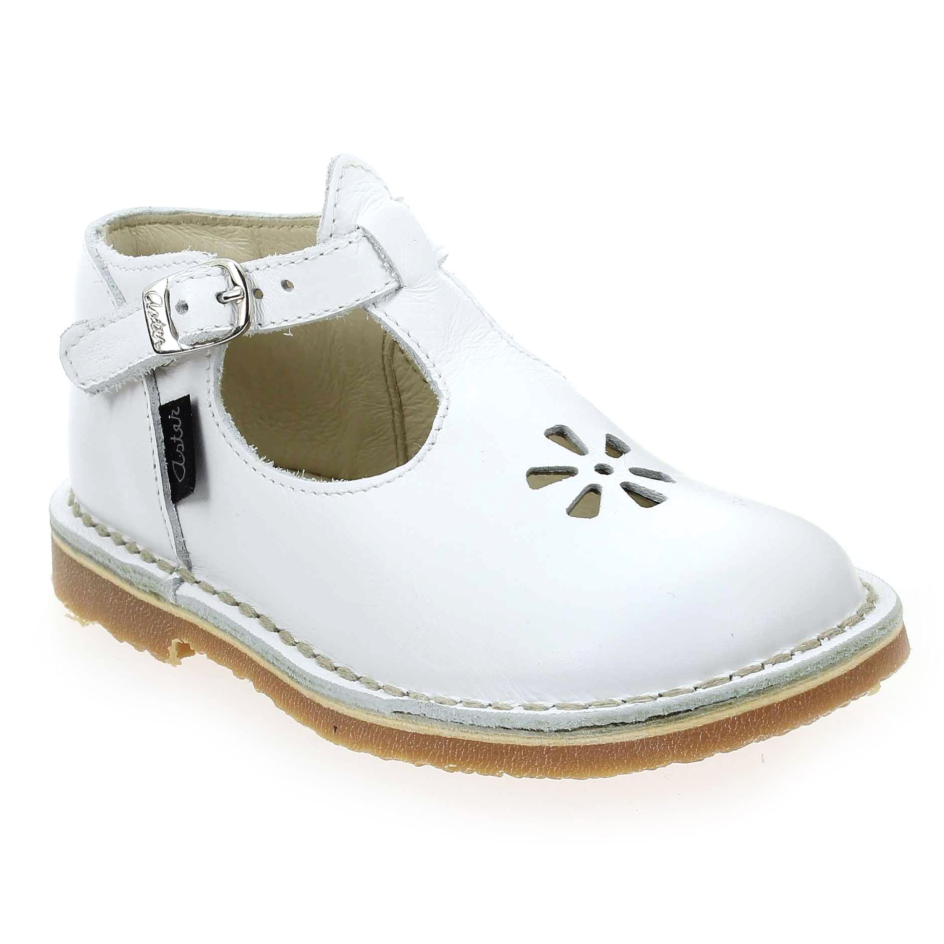 Aster  BIMBO - Blanc