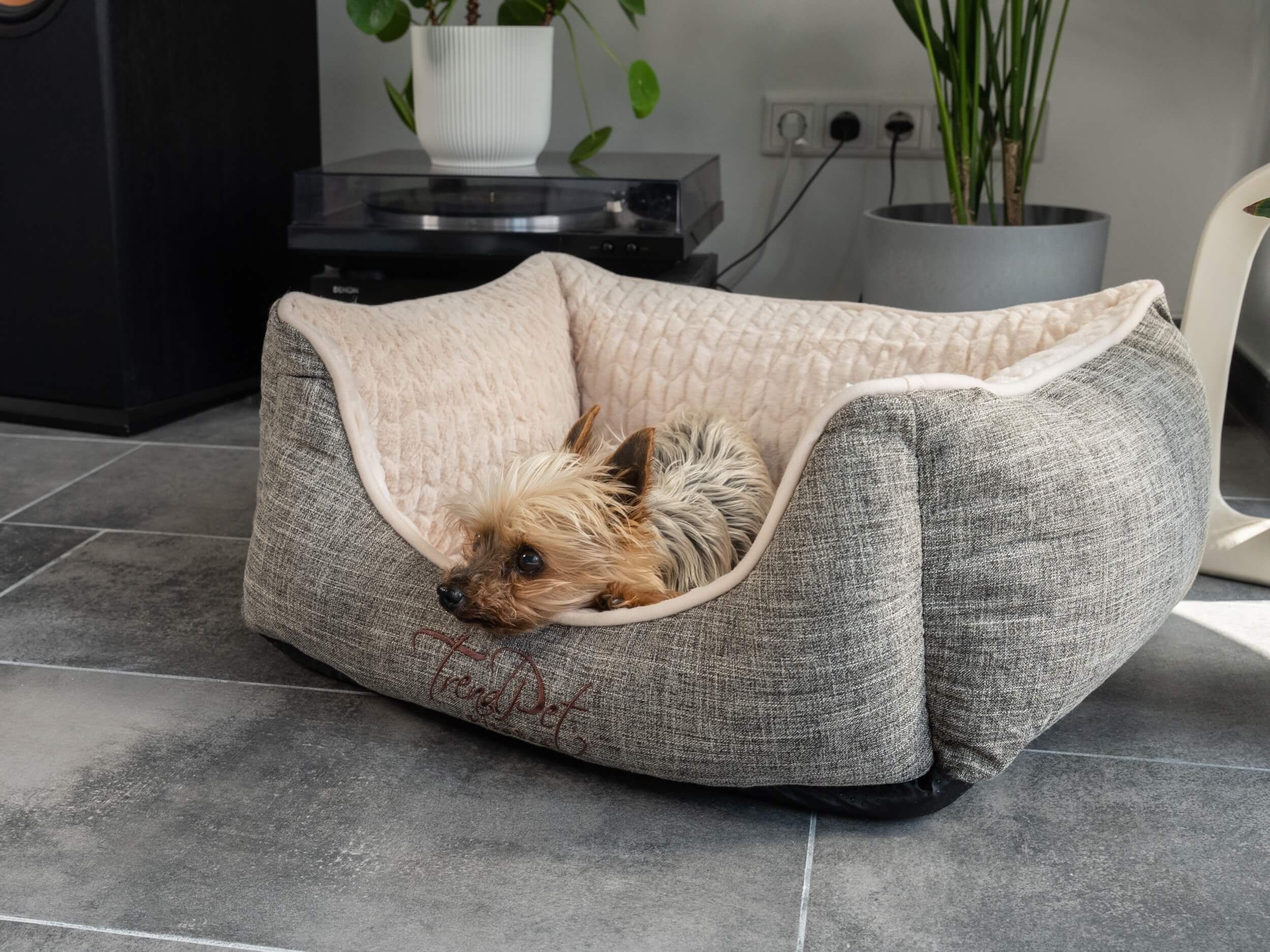 TrendPet Hundebetten TrendPet VitaBed Classic orthopädisches Hundebett beige XL