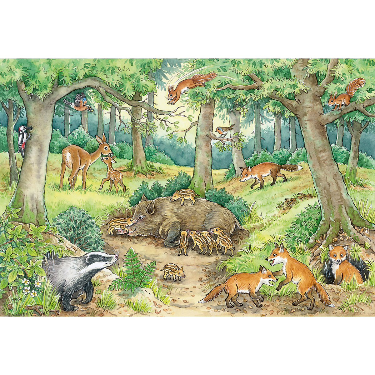 Ravensburger Kinderpuzzle - 05673 Tiere im Wald und auf der Wiese - 2x12 Teile + Wissensposter, Wieso Weshalb Warum Puzzle für Kinder ab 3 Jahren