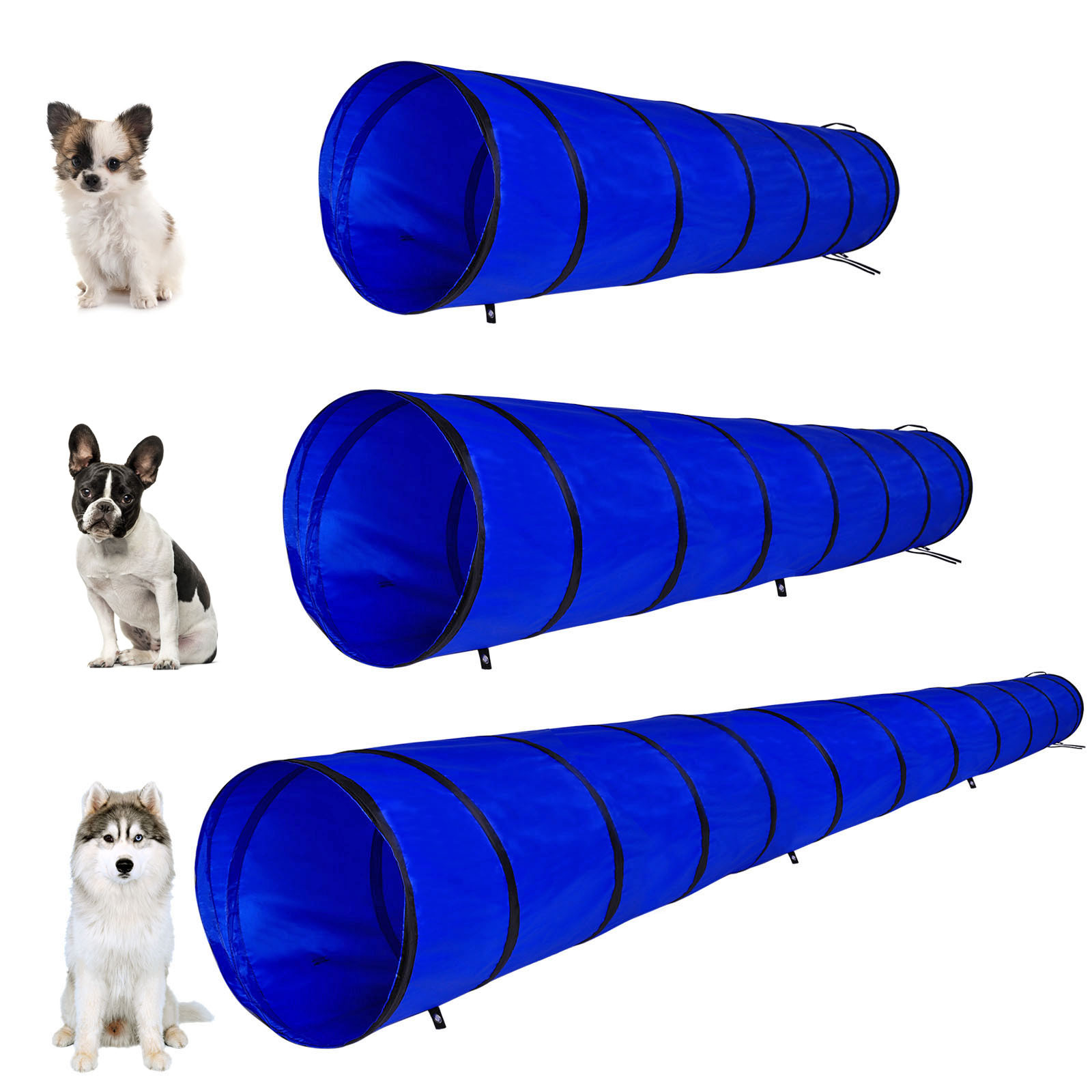 Lionto Agility & Training Lionto 5m Tunnel mit Heringen