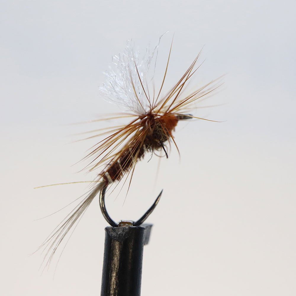 Silverstone Parachute Pheasant -kuivaperho H14 (3 kpl)