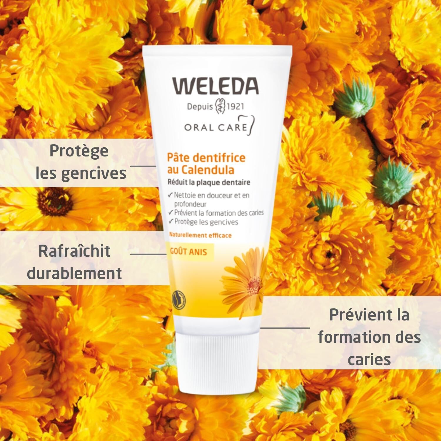 Weleda Calendula Goût Anis Pâte Dentifrice - Formule Naturelle pour Réduire la Plaque Dentaire - 75 ml