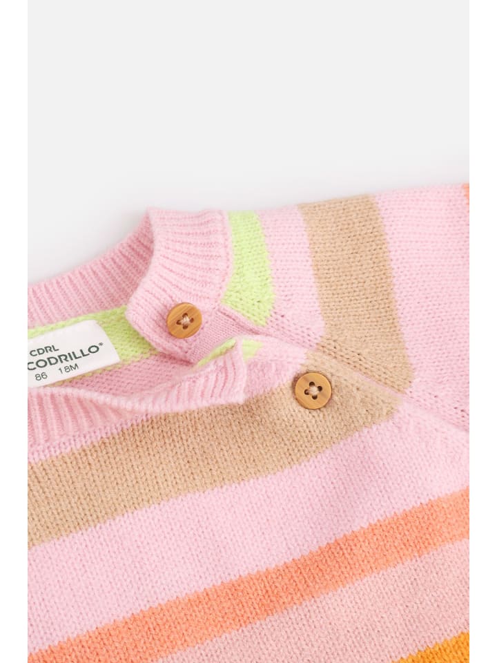 Coccodrillo Strickpullover in bunt günstig kaufen 68