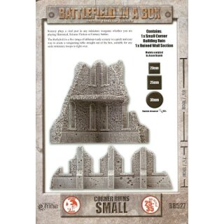 Small Corner Ruins