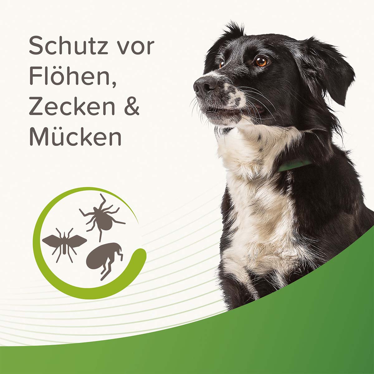 beaphar Zecken- und Flohschutz Halsband für Hunde 65cm