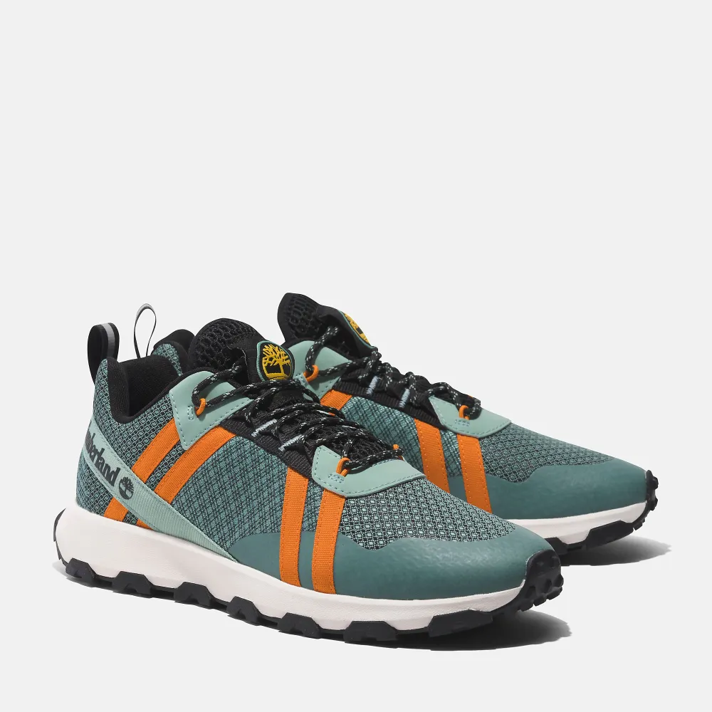 Timberland Winsor Trail Low top TB0A6BR5EAS1 / grün