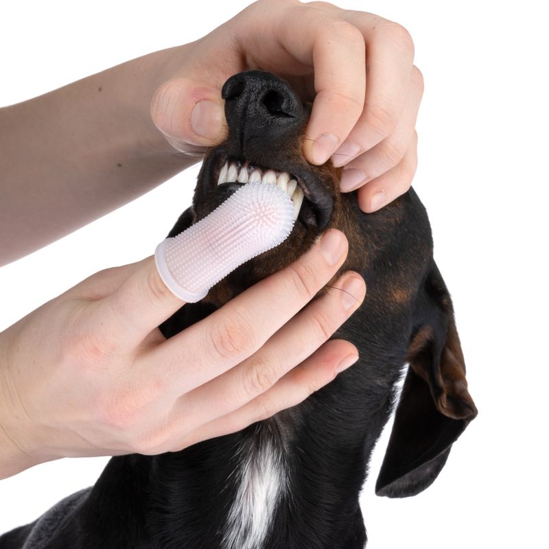 kooa Zahnpflegefinger aus Silikon zu TOP-Preisen