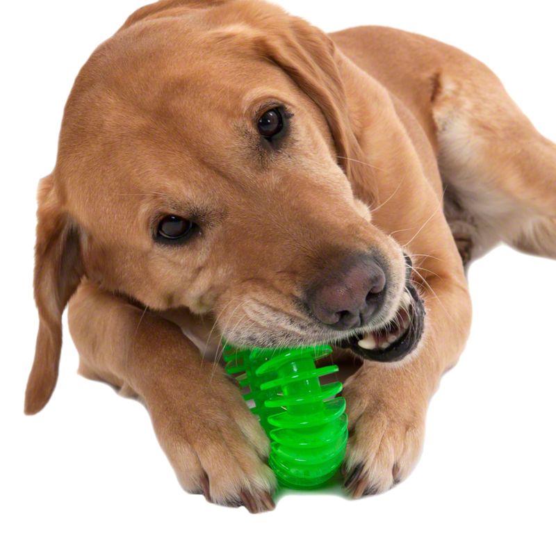 Hundespielzeug TPR Ring zu TOP-Preisen % bei bitiba.de