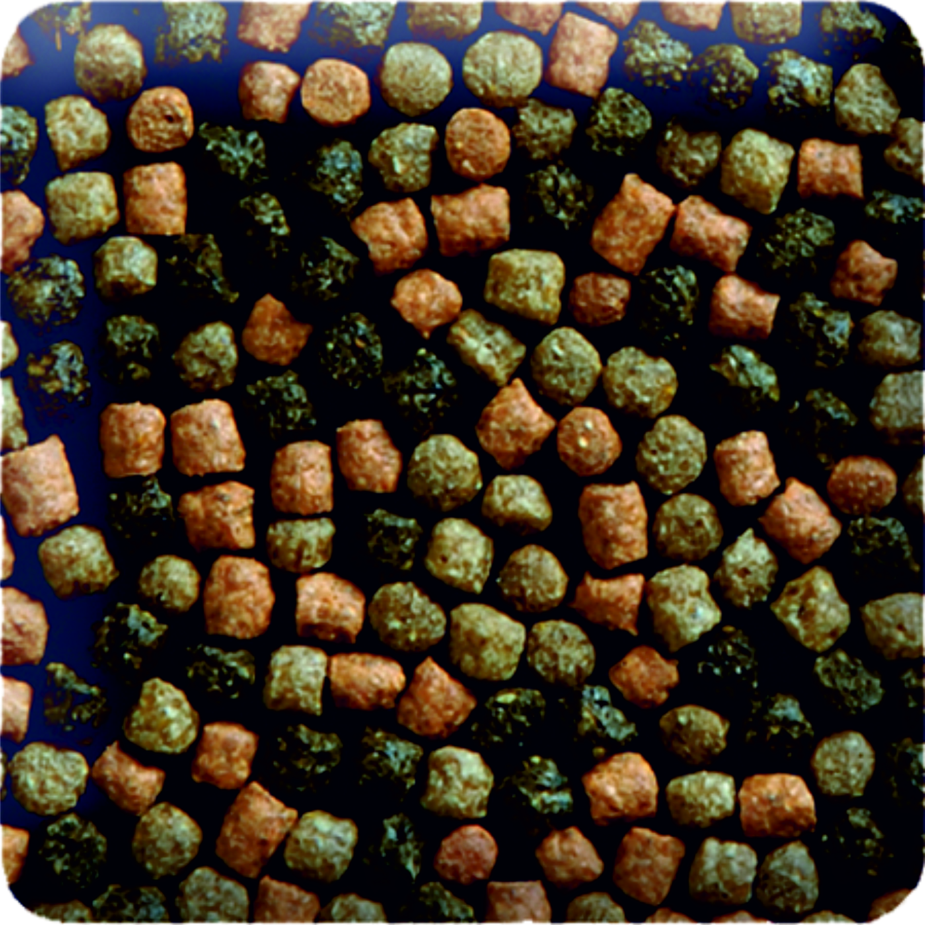 KENKOU Hauptfutter KENKOU Platin KOI-MIX 6mm 5 kg