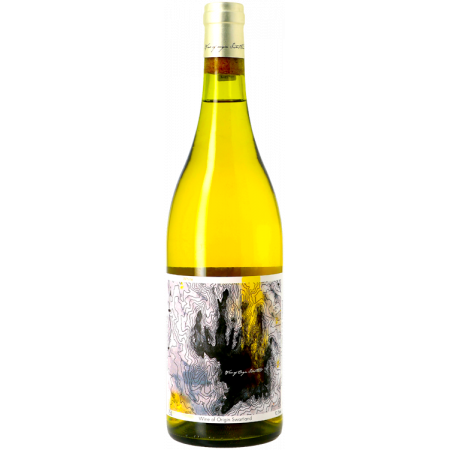 TOPOGRAPHY CHENIN BLANC 2021 - DAVID & NADIA