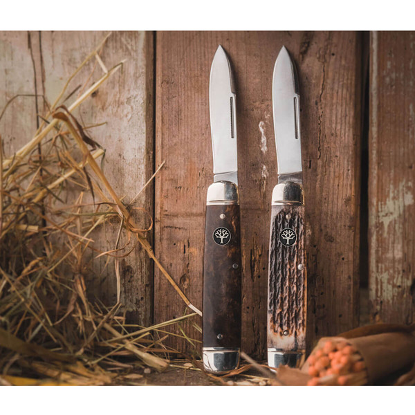 CATTLE KNIFE MASERBIRKE - Klappmesser