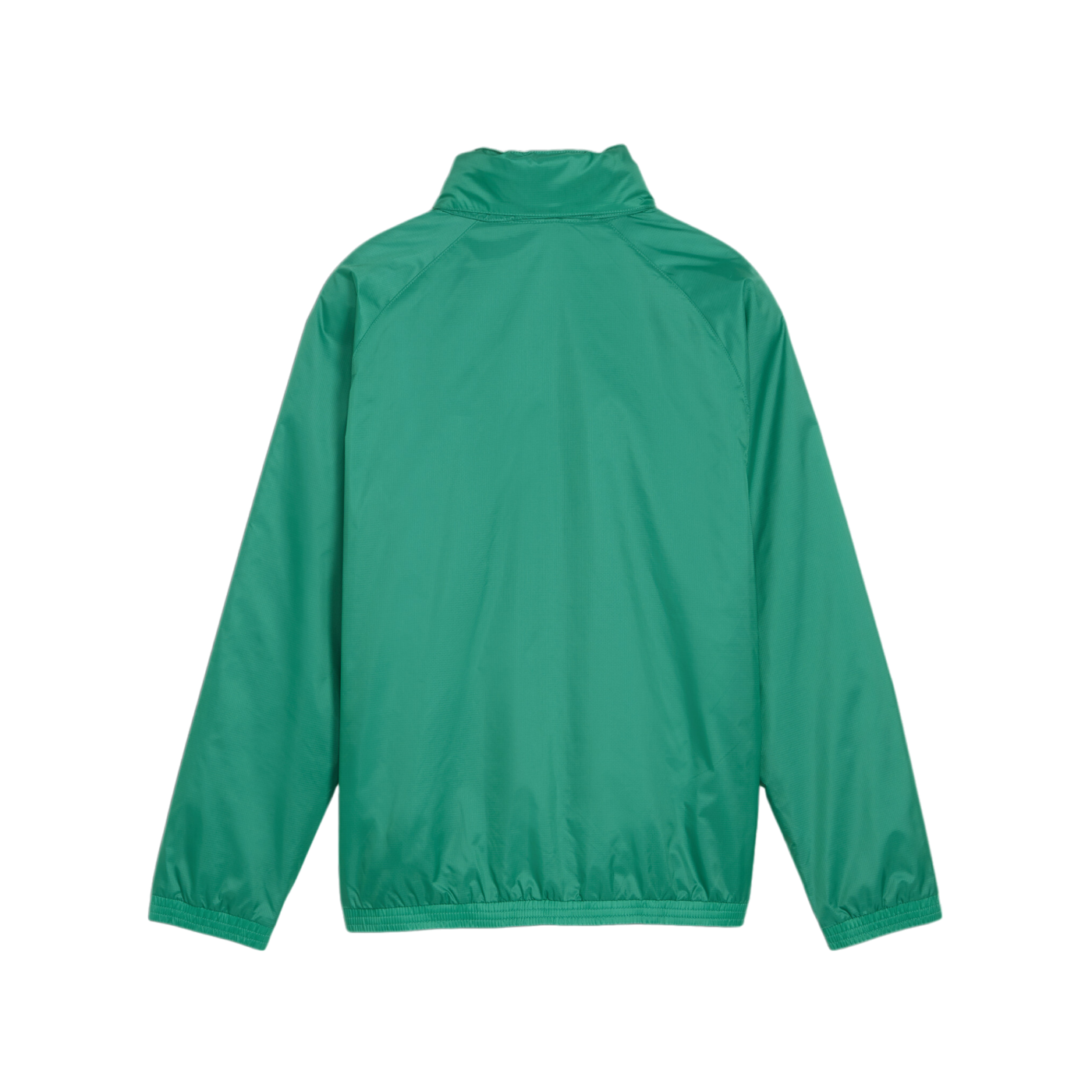 PUMA teamGOAL Allwetterjacke Kids Grün Weiss F05