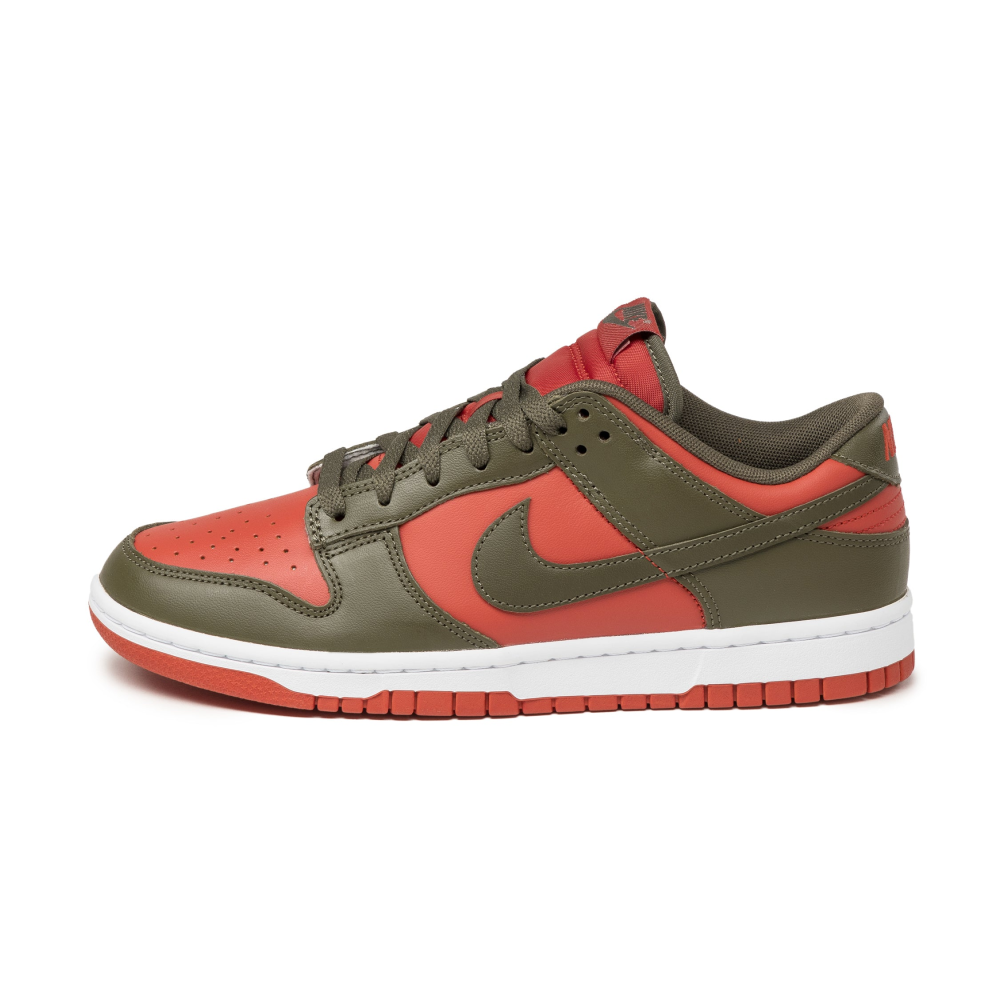 Nike Dunk Low Retro DV0833-600 / grün