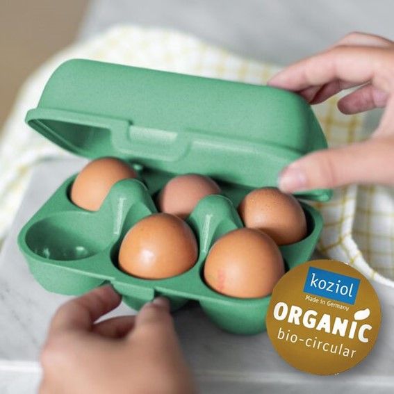 6er - Eierbox (Fendt Natural Line Kollektion)