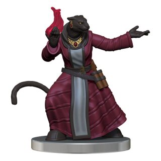 Critical Role - The Tombtakers Boxed Set (Prepainted)