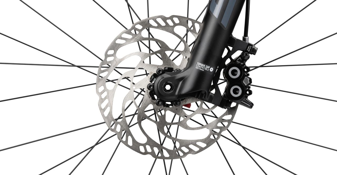 Radon Jealous AL 9.0 kaufen | Bike-Discount