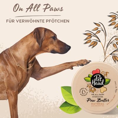 Pfotenbalsam für Hunde: Pet Head On All Paws Paw Butter