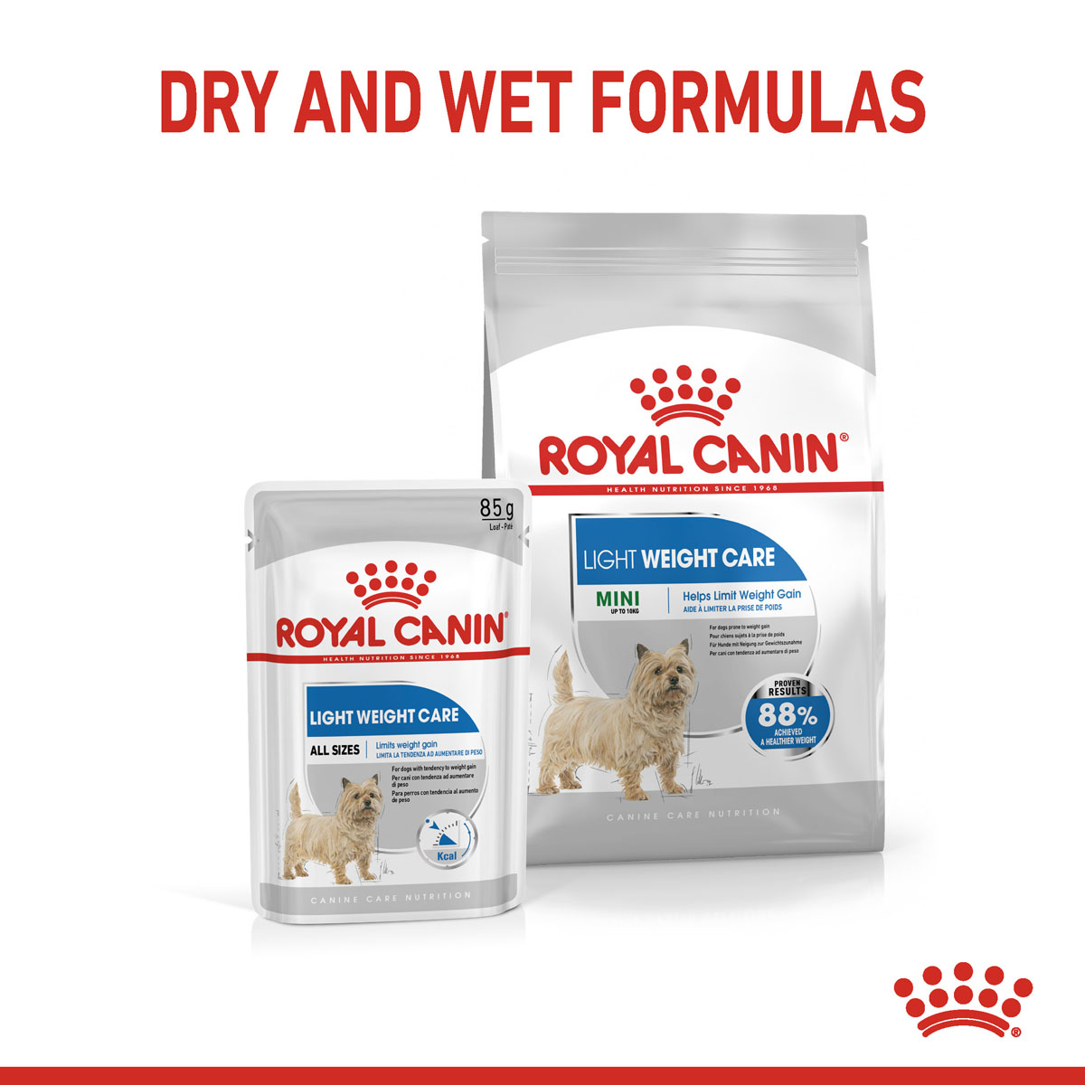 ROYAL CANIN LIGHT WEIGHT CARE MINI Trockenfutter für zu Übergewicht neigenden Hunden