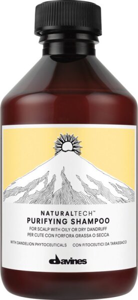 Davines NaturalTech Purifying Shampoo