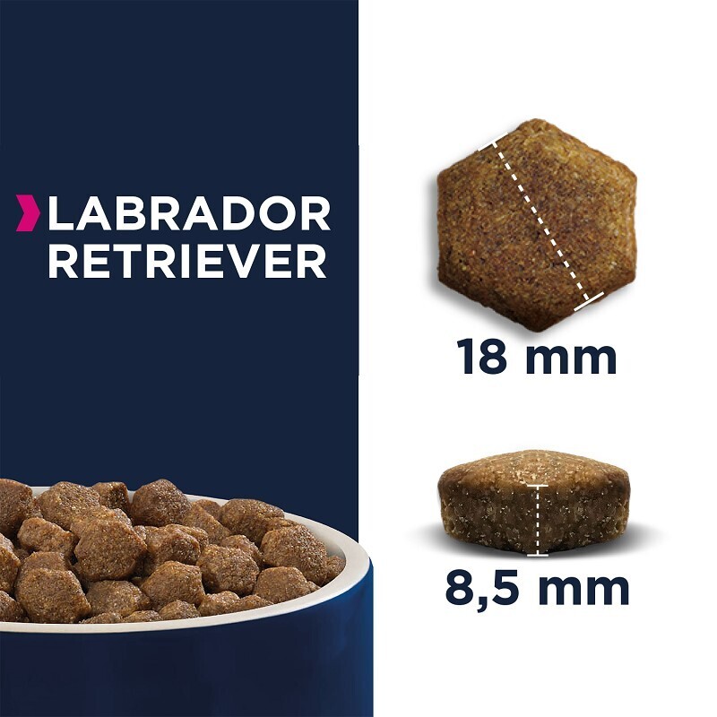 EUKANUBA Hundetrockenfutter EUKANUBA Breed Specific Labrador Retriever 12 kg