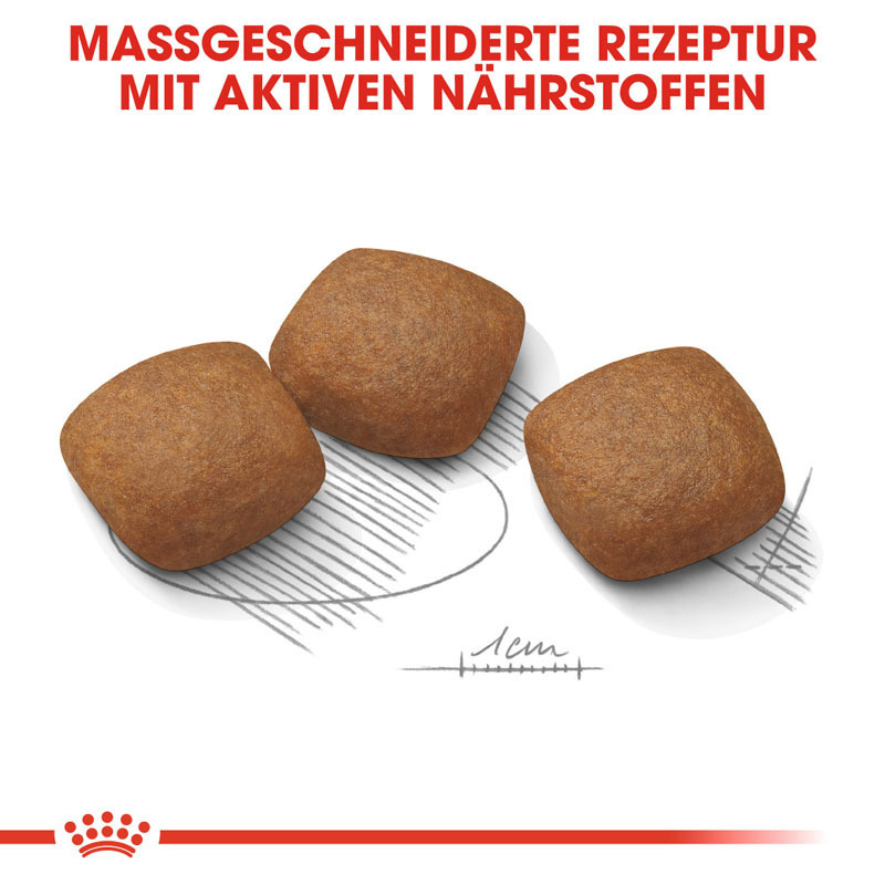 ROYAL CANIN Hundetrockenfutter ROYAL CANIN Maxi Joint Care 10 kg