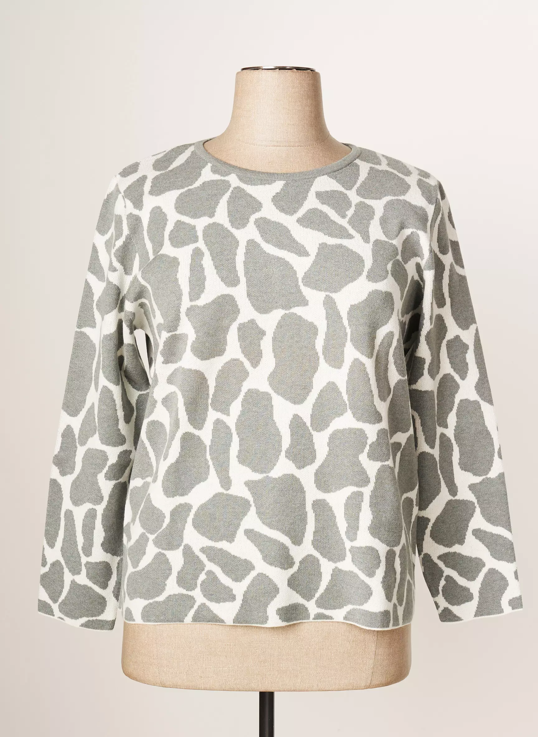 Rabe Pulls Femme couleur gris
