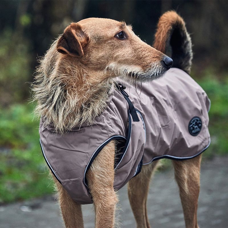HUNTER Hundemantel Uppsala zu TOP-Preisen