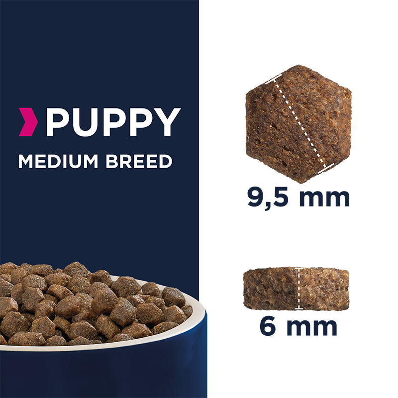 EUKANUBA Hundetrockenfutter EUKANUBA Puppy Medium Breed Chicken 3 kg