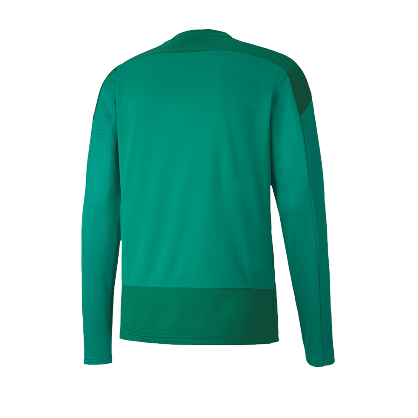 PUMA teamGOAL 23 Training Sweatshirt Kids Grün F05