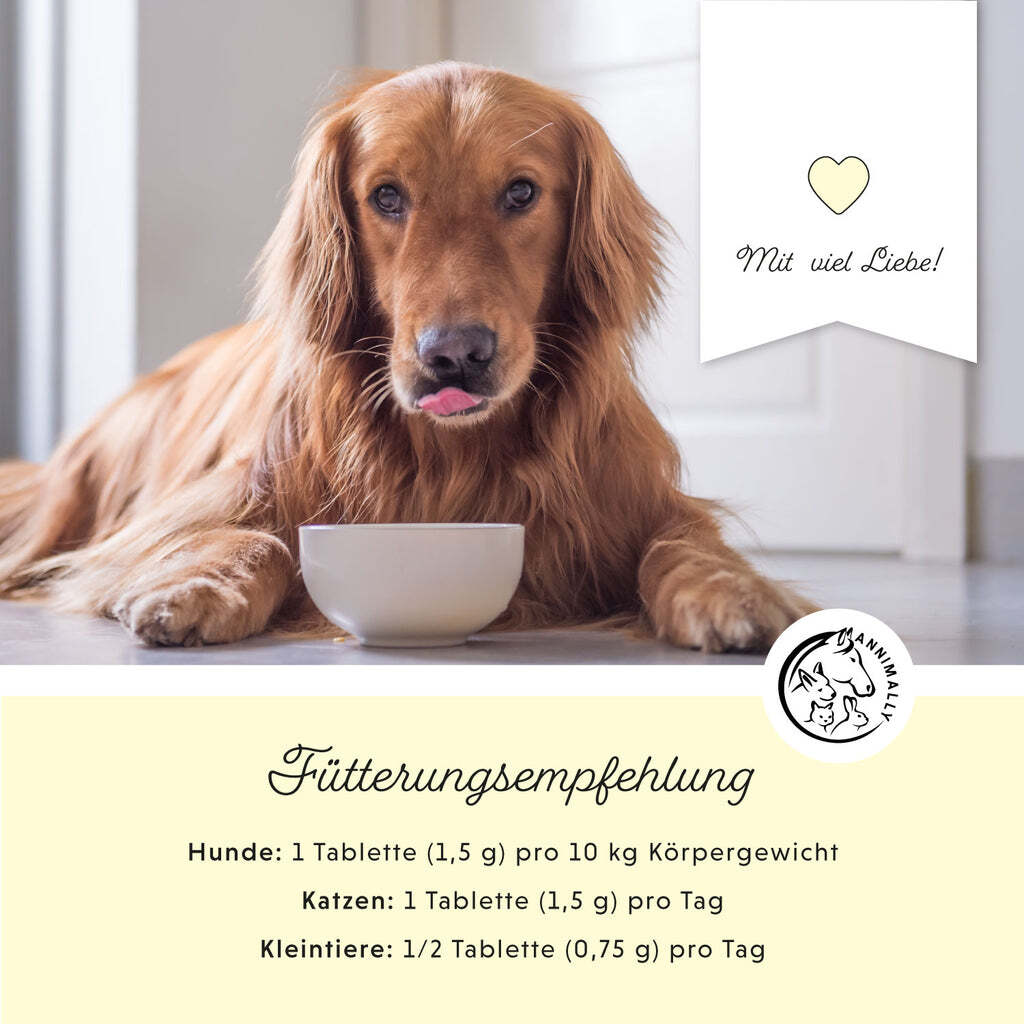 Annimally Ergänzungsfutter & Aufzucht Annimally Bierhefe Tabletten