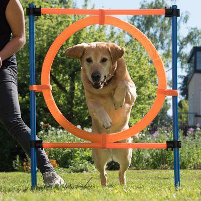 Agility Fun & Sport Sprungring