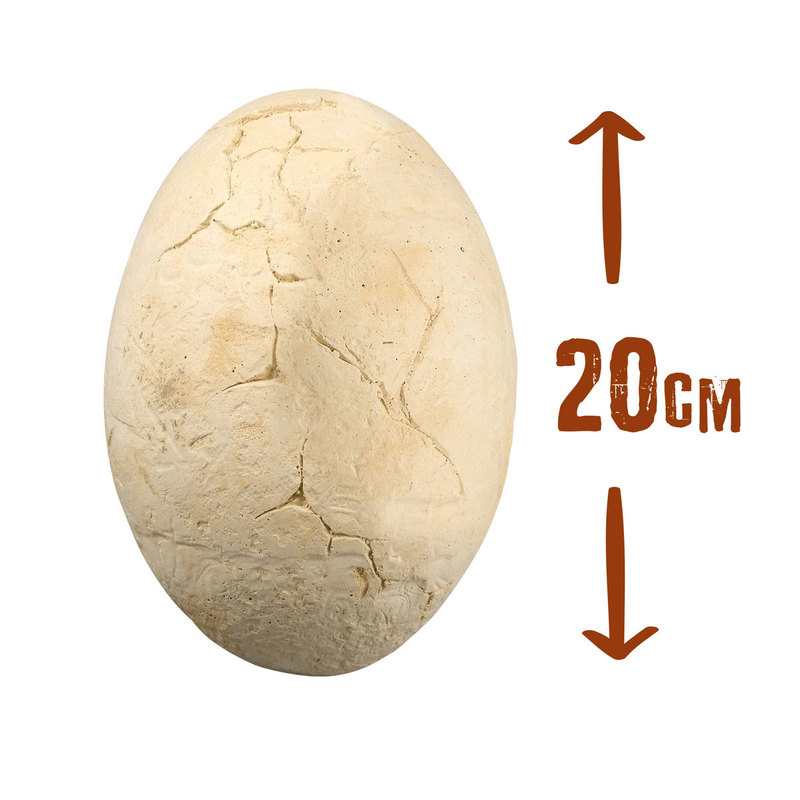 Coffret dino mega egg Buki